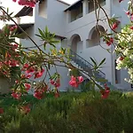 Casa vacanze Olive Hill House Vragkaniotika