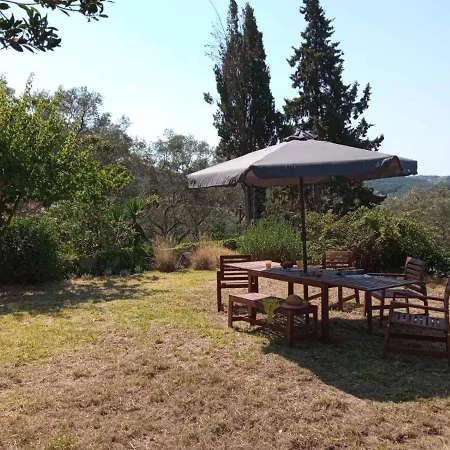 Olive Hill House *