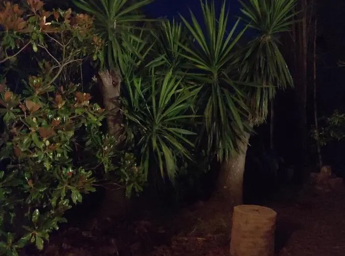 Дом отдыха Olive Hill House Vragkaniotika