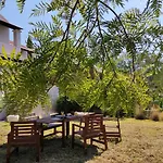 Olive Hill House Tatil Evi *